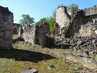 DSC06618