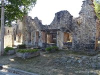 DSC06636