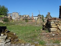 DSC06641