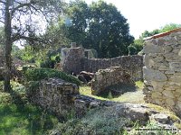 DSC06657