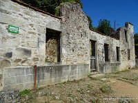 DSC06726