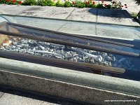 DSC06800