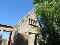 DSC06822