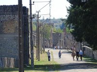DSC06876