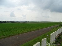 DSC00606
