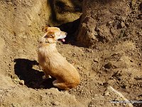 DSC00689