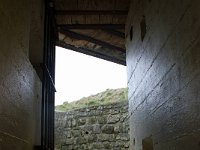 DSC00316