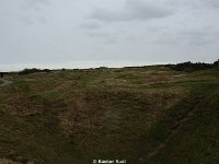 DSC00317