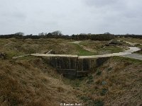 DSC00323