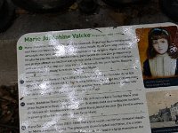 DSC07654