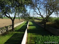 DSC05328