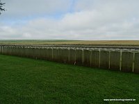 086-DSC01236
