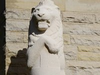 DSC08581