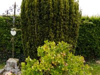 DSC05854