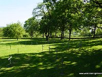 DSC01196
