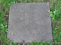 341-DSC01511