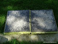 346-DSC01516