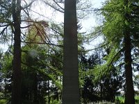 DSC08867