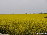 DSC09118