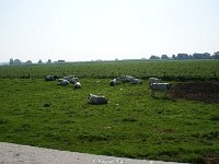 DSC06830