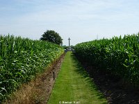 DSC06209