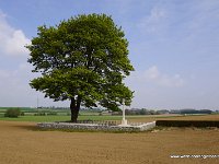 DSC06006