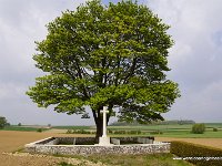 DSC06019