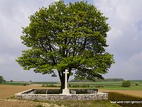 DSC06020