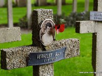 DSC09094-001