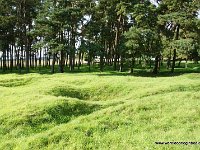 DSC09701