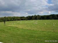 DSC09754