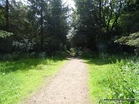 387-DSC01566