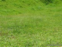 411-DSC01592