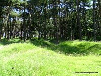 434-DSC01615