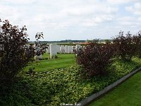 DSC07535