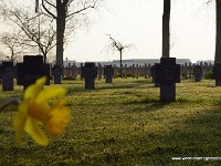 DSC04295-001