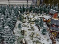 DSC06488
