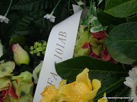 DSC06581