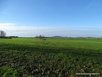 DSC07443
