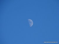 DSC07586