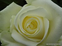 DSC08348