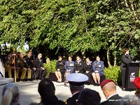 DSC02334