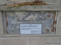 DSC02227