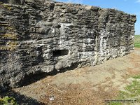 DSC06309